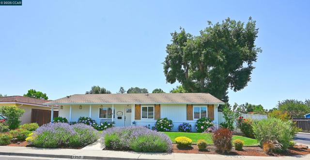 1250 Saint Louis Drive, Concord CA: https://media.crmls.org/mediaz/9c36a5e0-7367-4a86-b0ce-b9e68ae4cae9.jpg