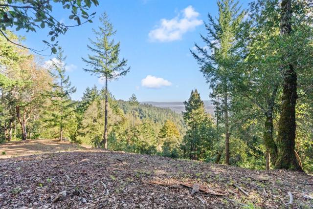 0 Allen, Woodside CA: https://media.crmls.org/mediaz/9c370b8e-a87b-4517-ab93-c9bbf4a95bfc.jpg