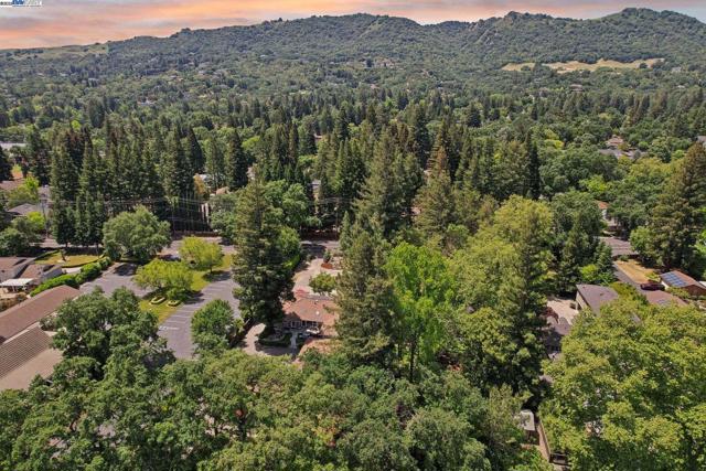 688 Danville Blvd, Danville CA: https://media.crmls.org/mediaz/9c371e0e-c429-467b-8cdb-9e485d2daf3b.jpg