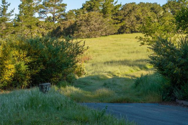7925 Cinquenta (Lot 97), Carmel CA: https://media.crmls.org/mediaz/9c3762d1-b234-4b71-9d7d-0d35ffff6362.jpg