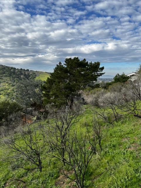 0 Alhambra Drive, Belmont CA: https://media.crmls.org/mediaz/9c3abb82-826b-4c05-a3b5-517eef07da57.jpg