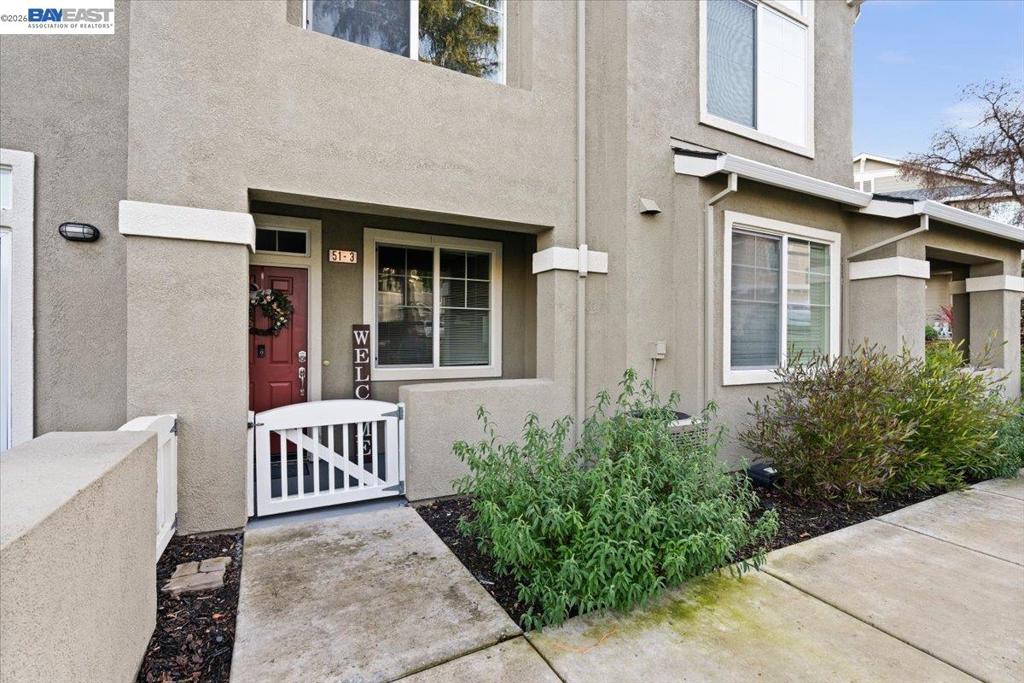 51 Bellington Cmn #3