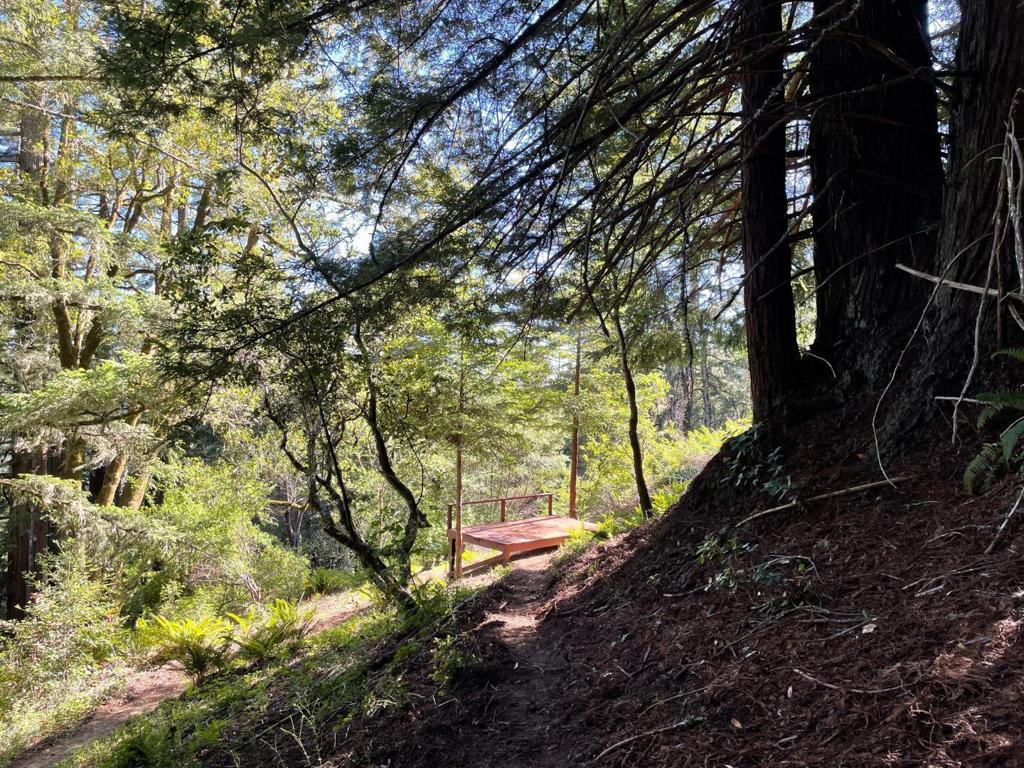 MLS #ML81979482 image #11