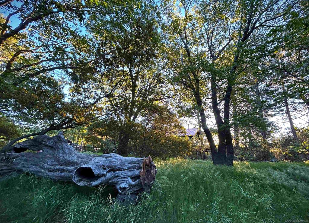 https://media.crmls.org/mediaz/9c4d19c8-bfbe-4780-90a4-e26eb351d4e2.jpg?preset=X-Large