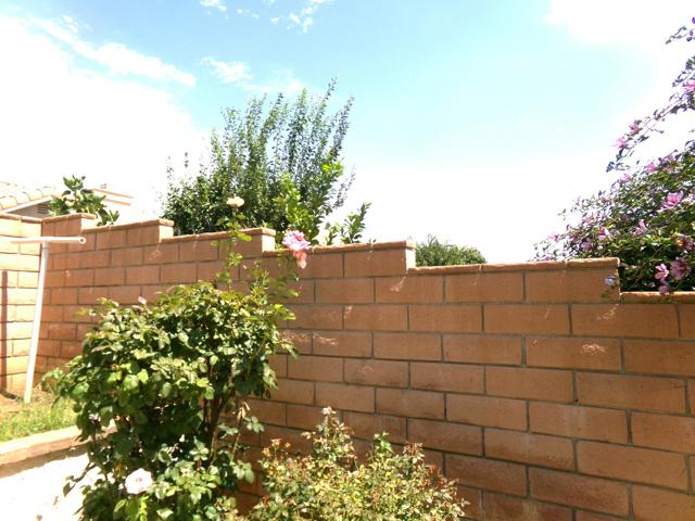 4829 W Forest Oaks Avenue, Banning CA: https://media.crmls.org/mediaz/9c53653d-5728-4401-8b02-386d878828cd.jpg