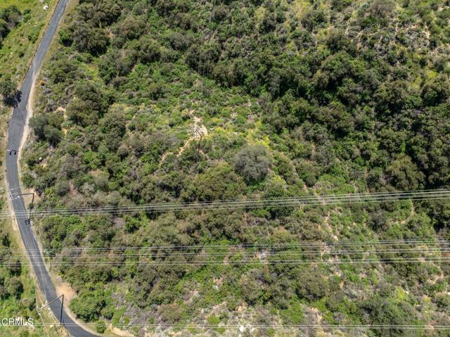 Detail Gallery Image 32 of 36 For 4700 Rising Hill Rd, Altadena,  CA 91001 - – Beds | – Baths