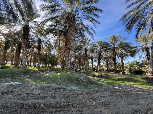 0 Nwc Pierce St & Ave 64, Thermal CA: https://media.crmls.org/mediaz/9c5d4477-5884-451f-a863-e7f9d4412f0c.jpg