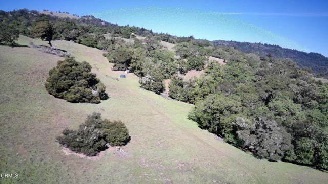 Detail Gallery Image 3 of 59 For 24051 Fig Tree Ln, Yorkville,  CA 95494 - – Beds | – Baths