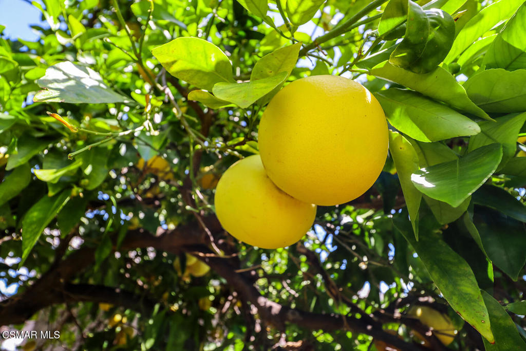 https://media.crmls.org/mediaz/9c605439-f1a7-4337-9a24-91eb2b587096.jpg?preset=X-Large