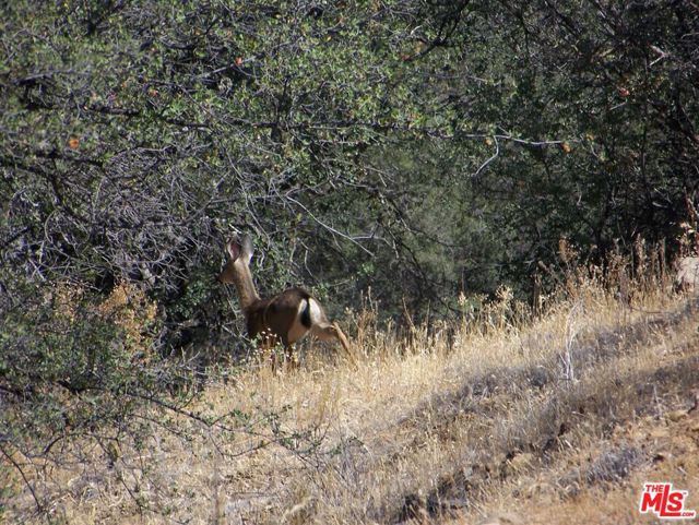 0 Apn 147-080-005, New Cuyama CA: https://media.crmls.org/mediaz/9c7c89dc-58ea-4c26-9a17-0908d45ec0c9.jpg