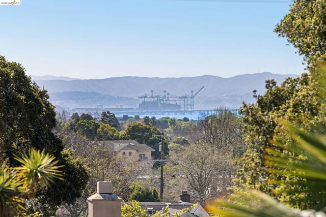 1509 Francis St, Albany CA: https://media.crmls.org/mediaz/9c83c1b0-db0a-4211-8abf-041df8129232.jpg