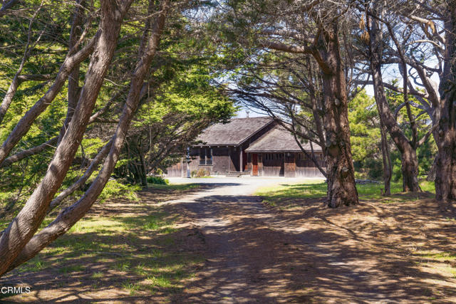 Tree Lined Entrance