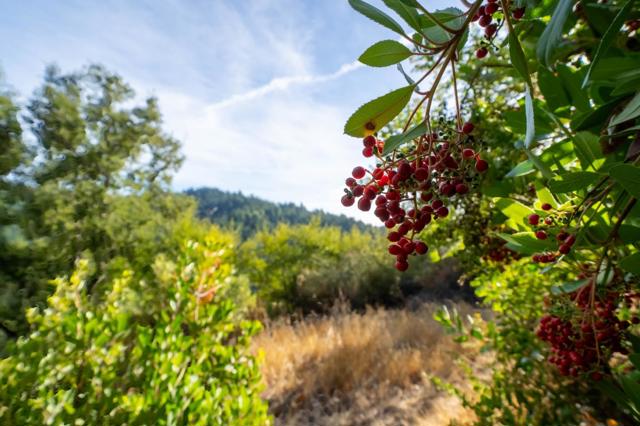 1301 Bear Creek, Boulder Creek CA: https://media.crmls.org/mediaz/9c9d1361-27e3-49af-8923-96467133a909.jpg