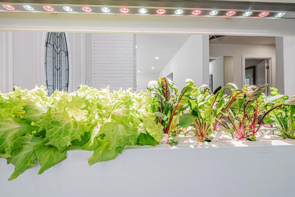 MLS #ML82011299 image #7