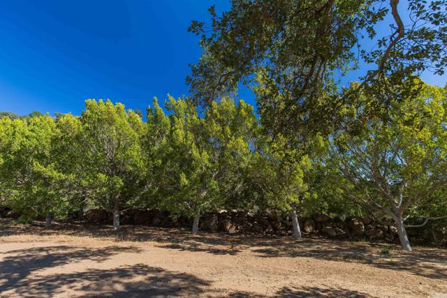 0 V/L Mahogany Ranch Road, Ramona CA: https://media.crmls.org/mediaz/9cb856f5-d59b-40e1-99a5-09469eb176b8.jpg