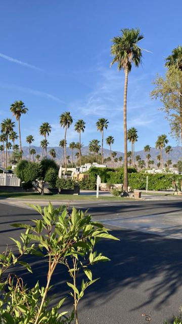 69411 Ramon Road, Cathedral City CA: https://media.crmls.org/mediaz/9cc98dbb-07ff-47ae-bd6c-eca04a4fb4a6.jpg
