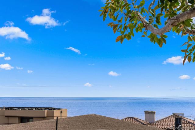 5576 Chelsea Ave, La Jolla CA: https://media.crmls.org/mediaz/9ccc2cf2-931c-4a4a-8f27-496e89963219.jpg