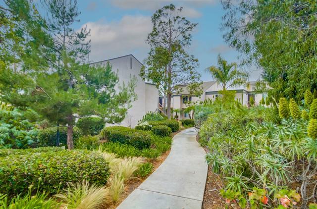 4125 Mount Alifan Pl, San Diego CA: https://media.crmls.org/mediaz/9cd63048-2e85-4ee6-8a7a-feef3fc2c50c.jpg