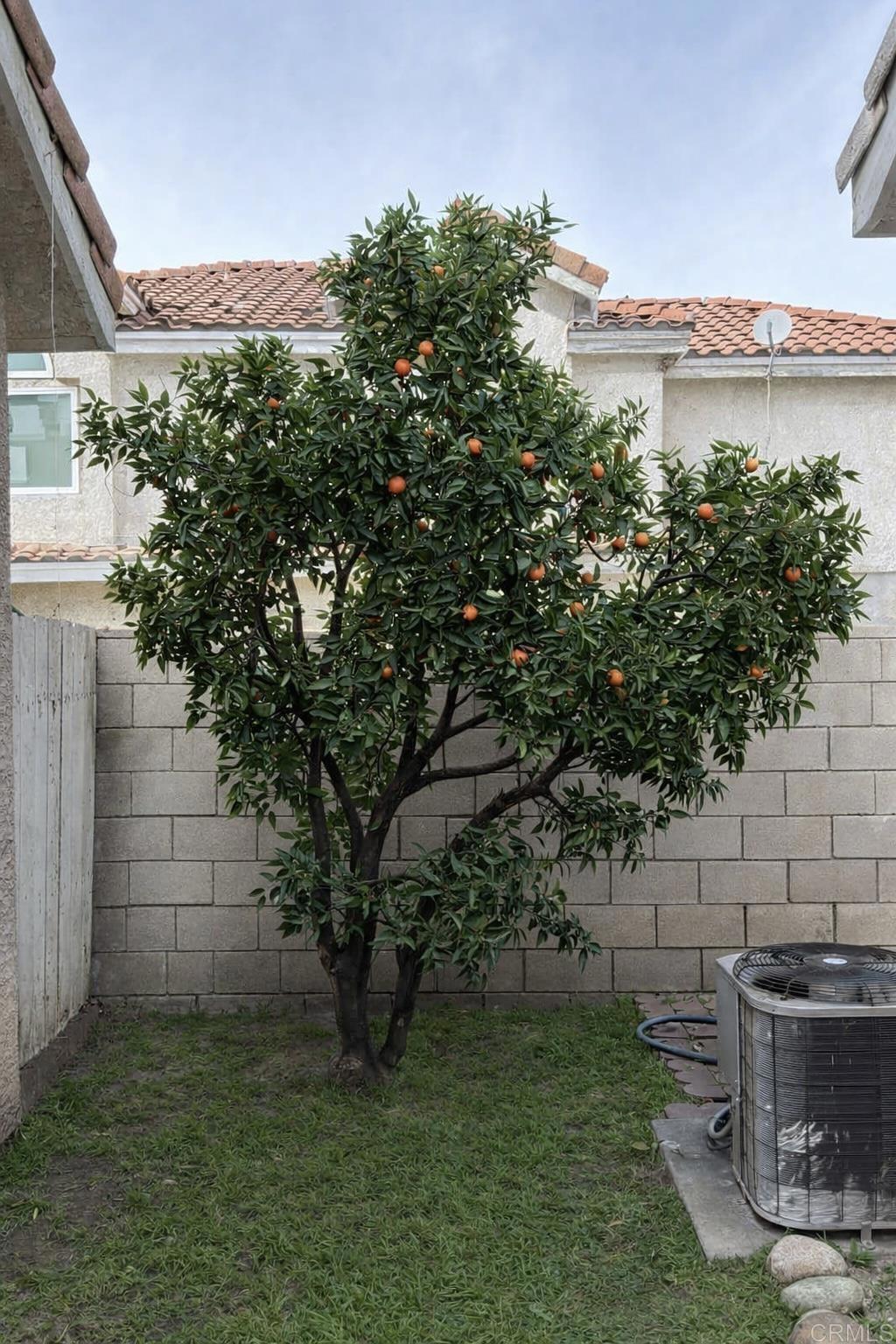 https://media.crmls.org/mediaz/9cd92a3b-ddc7-4508-9dbb-871bcea297aa.jpg?preset=X-Large