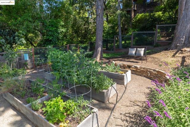 5801 Balboa Dr, Oakland CA: https://media.crmls.org/mediaz/9ce77ee8-8893-44f0-a4bd-b8e11e7e0d5b.jpg