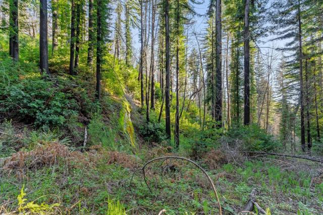 21200 Big Basin Way, Boulder Creek CA: https://media.crmls.org/mediaz/9cf43af3-a0f3-4668-99c2-24dfa1637bf2.jpg