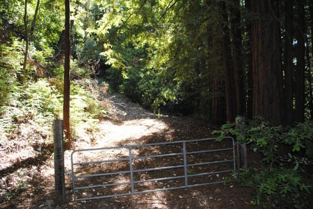 26000 Pierce Road, Los Gatos CA: https://media.crmls.org/mediaz/9cfaeead-0443-46d4-abbe-81f2f82d58e8.jpg