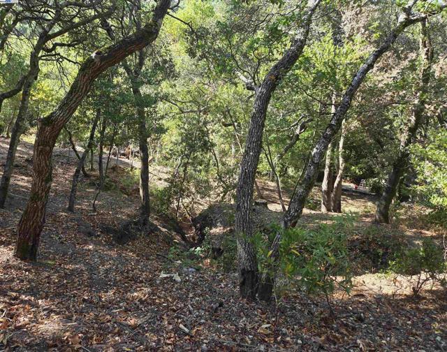 12 Vista Del Orinda, Orinda CA: https://media.crmls.org/mediaz/9cfb3496-9abe-4d5a-bdeb-4ea67266c66e.jpg