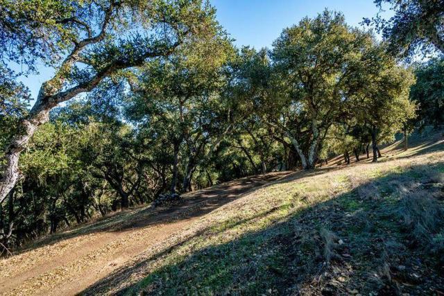 17114 Cachagua Road, Carmel Valley CA: https://media.crmls.org/mediaz/9d056d2e-c344-4886-babc-99ba7f0ea6e8.jpg