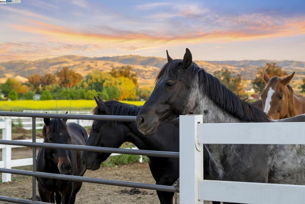 https://media.crmls.org/mediaz/9d07a035-b977-48cb-892a-d271e0459273.jpg?preset=X-Large