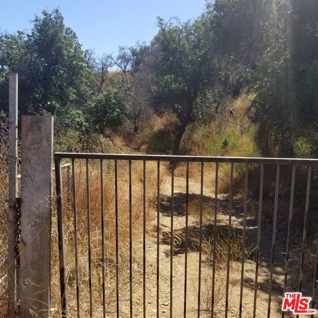 29162 Upper Ramirez Motor Way photo 8