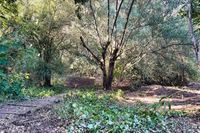 18211 Saratoga Los Gatos Road, Monte Sereno CA: https://media.crmls.org/mediaz/9d10f2db-5433-40cf-9587-94176895fabc.jpg
