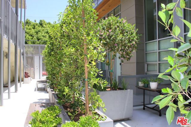 5806 Waring Avenue, Los Angeles CA: https://media.crmls.org/mediaz/9d172b6a-52d2-466b-a751-66aad7e32af7.jpg