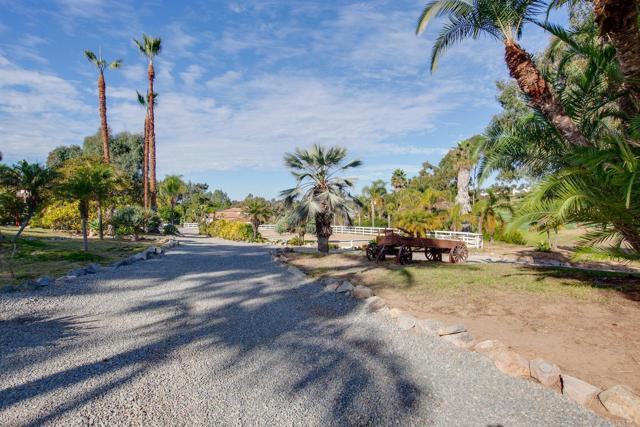 Detail Gallery Image 8 of 26 For 623 Quail Gardens Ln, Encinitas,  CA 92024 - 2 Beds | 2 Baths