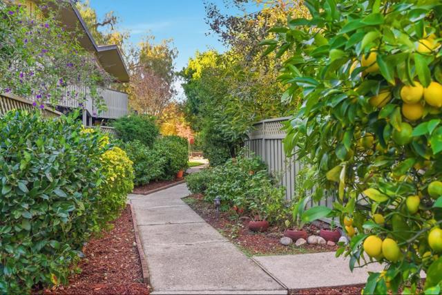 278 Monroe Drive, Mountain View CA: https://media.crmls.org/mediaz/9d278031-bcc9-41b6-ab53-5addb56dbb28.jpg