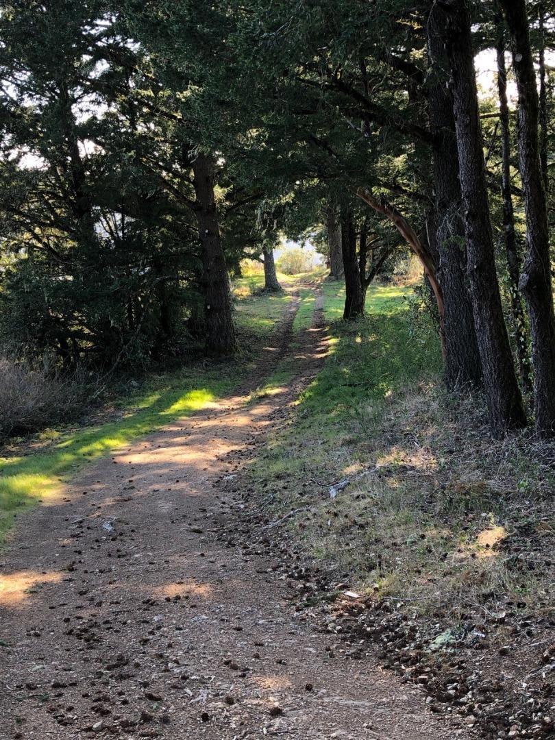 MLS #ML81979482 image #25