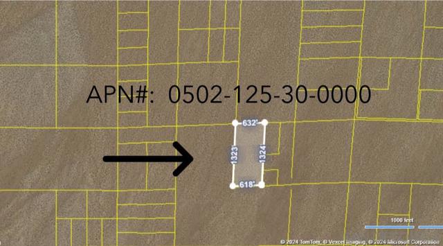Details for 1 1-4 Se 1-4 Sec 16 Tp 32s R 42e, Hinkley, CA 92347