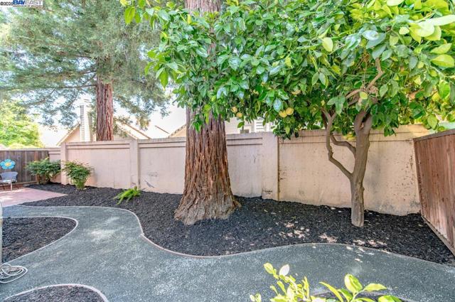 243 Rachael Pl, Pleasanton CA: https://media.crmls.org/mediaz/9d343d2a-80f4-4e7c-b479-65d426f392ea.jpg