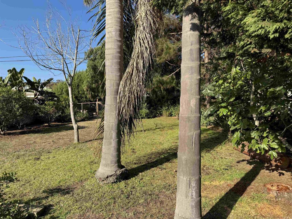 4444 Orchard Ave - photo 13