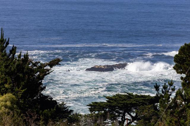 232 Lower Walden Road, Carmel CA: https://media.crmls.org/mediaz/9d42fd77-085a-4beb-92f0-1705ca157f7a.jpg