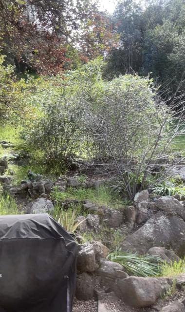 Detail Gallery Image 5 of 8 For 19147 Las Encinas Dr, Ramona,  CA 92065 - 3 Beds | 3 Baths