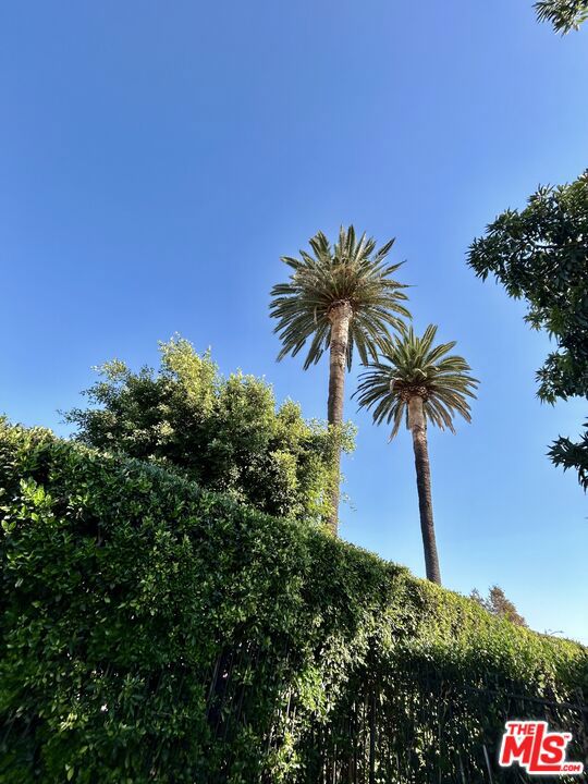 643 N Vista St, Los Angeles CA: https://media.crmls.org/mediaz/9d4be647-5ce0-4e8a-b6c4-2ec3a24ea927.jpg
