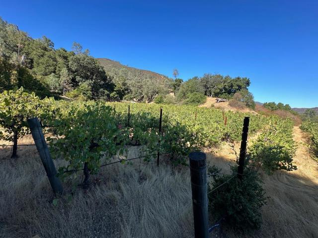 13160 Cienega Road, Hollister CA: https://media.crmls.org/mediaz/9d4c13ff-5ec6-48be-9a67-bad062fb06fa.jpg