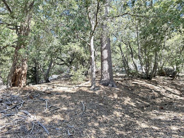 0 Mountain View, Idyllwild CA: https://media.crmls.org/mediaz/9d4ca183-4d95-414e-b9ed-cfdf0f537732.jpg