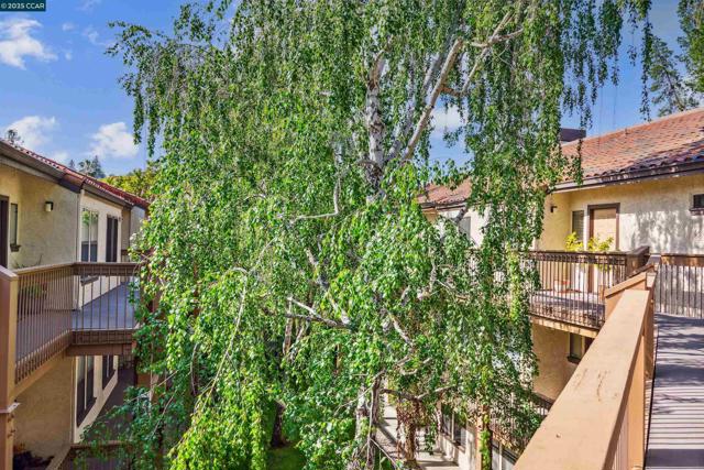 1731 S Villa Way, Walnut Creek CA: https://media.crmls.org/mediaz/9d4f42e1-320c-4ceb-aba3-a0aaced0269c.jpg