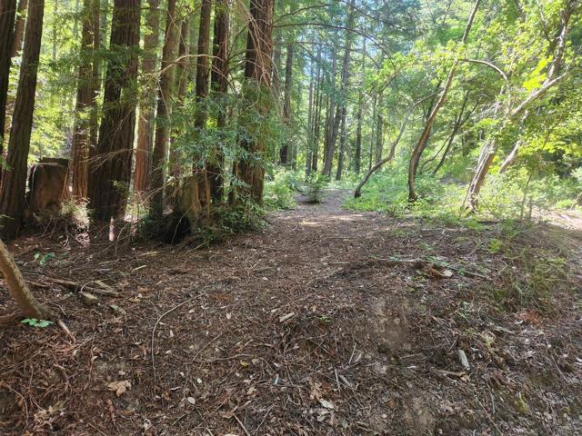 0 Lost Valley, Los Gatos CA: https://media.crmls.org/mediaz/9d5a67d7-ccab-4fce-8702-4cdc438ce712.jpg