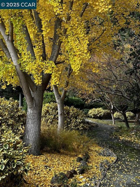 2933 Ptarmigan Dr, Walnut Creek CA: https://media.crmls.org/mediaz/9d618192-9ced-4eb4-b32d-84f40cca5027.jpg