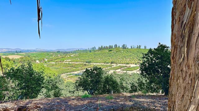 Image 3 of 4 For 0 Manzanillo Drive