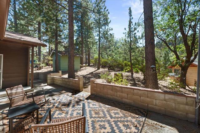 41073 Pennsylvania Avenue, Big Bear, CA 92315