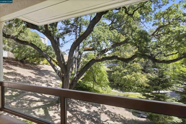 1285 Avenida Sevilla, Walnut Creek CA: https://media.crmls.org/mediaz/9d6b886c-af1d-47b0-897a-58d25755c1a6.jpg