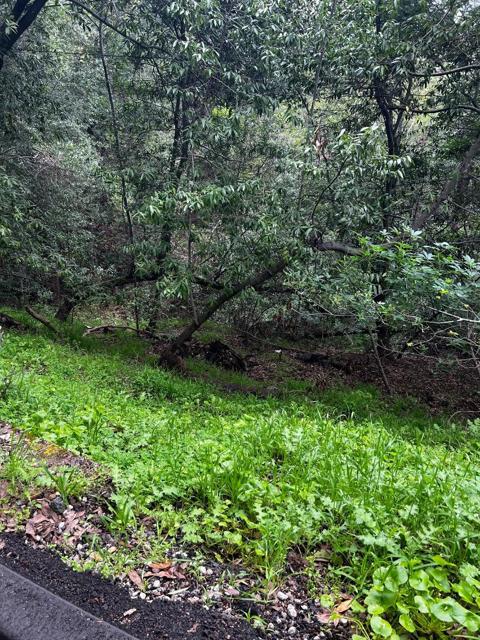 MLS #ML81959106 image #16